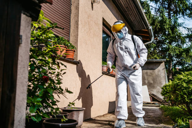 Best Local Pest Control Services  in Lmar, DE