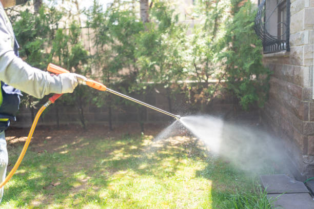 Best Pest Removal Services  in Lmar, DE