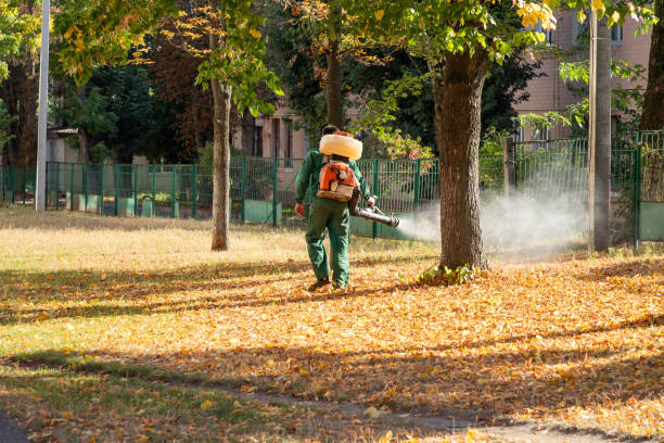 Best Flea Control Services  in Lmar, DE