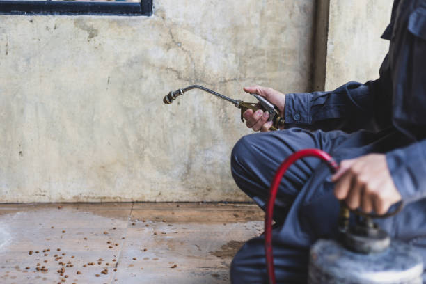 Best Pest Control for Restaurants  in Lmar, DE